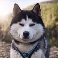 Анастасия Дмитриева