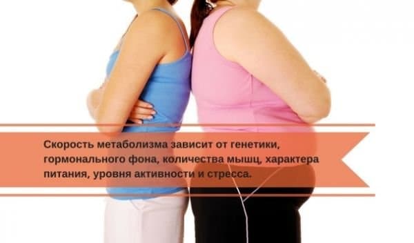 Факторы, влияющие на скорость метаболизма.