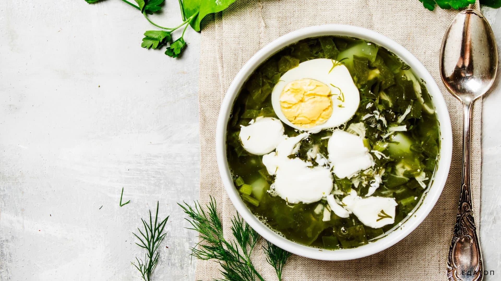 Зеленый борщ с куриной грудкой.