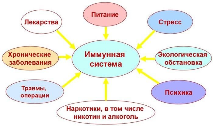 Возможные причины снижения иммунитета.