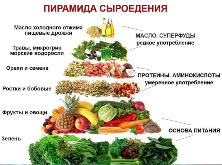 При сыроедении также нужно соблюдать нормы рационального питания.