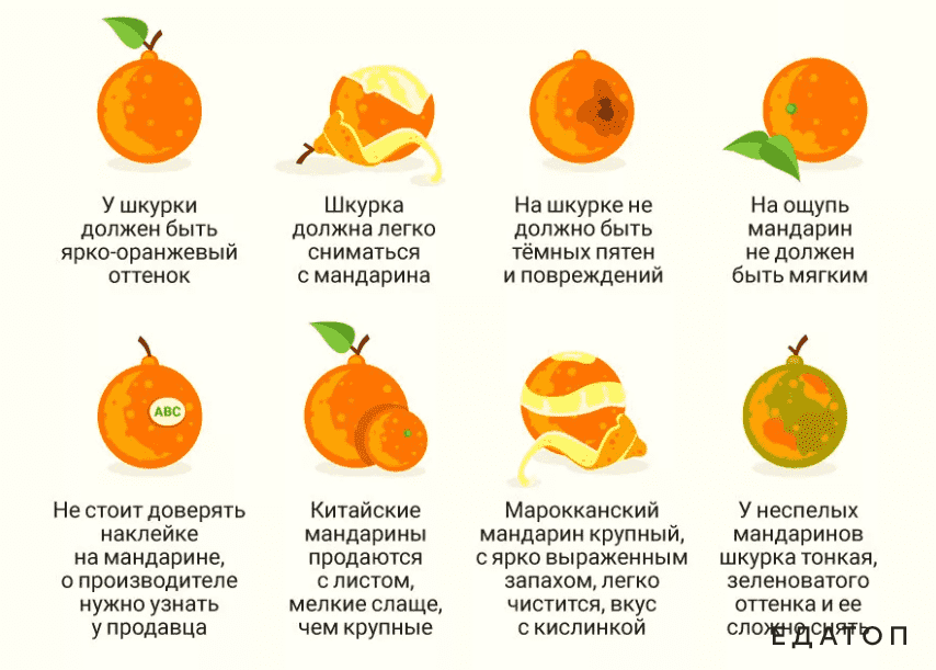 Чтобы употреблять в пищу качественные фрукты, необходимо знать правила их выбора.