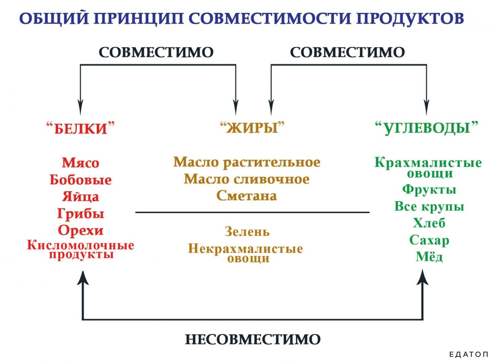 При переходе на раздельное питание требуется следовать основному принципу совместимости продуктов.
