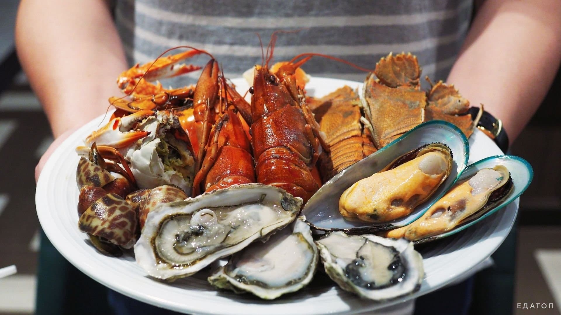 Морепродукты содержат большое количество белка.