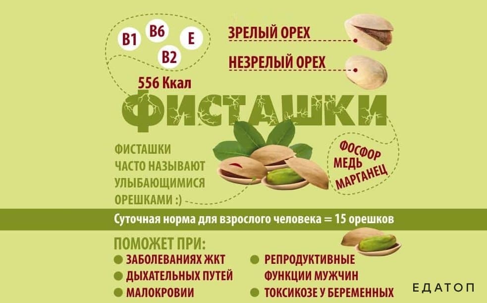 Полезные свойства фисташковых орехов.