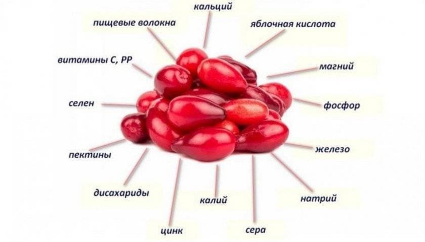 Витамины и микроэлементы в кизиле.