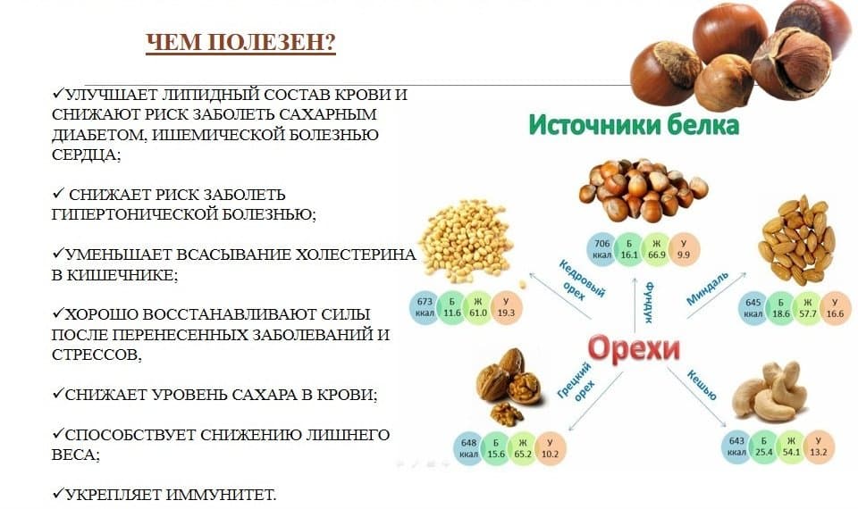 Орехи содержат жирные кислоты, микроэлементы и витамины.