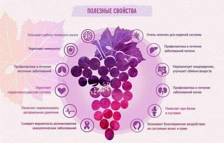 Благотворное воздействие винограда на организм.