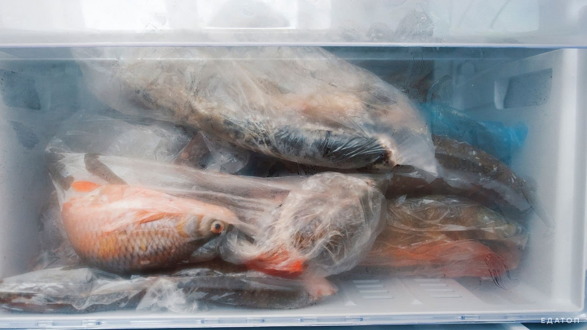 В морозильной камере продукт хранится 11 месяцев.