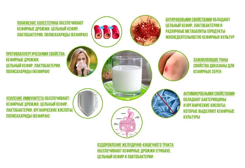 Польза кефира для организма.