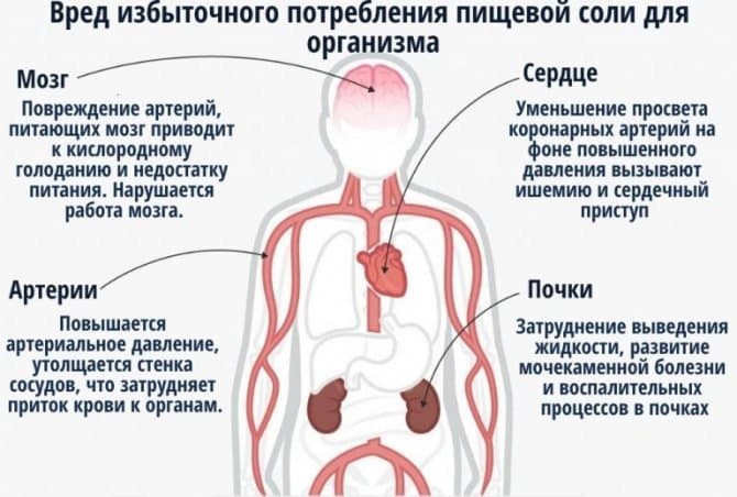 Вред натрия для организма.