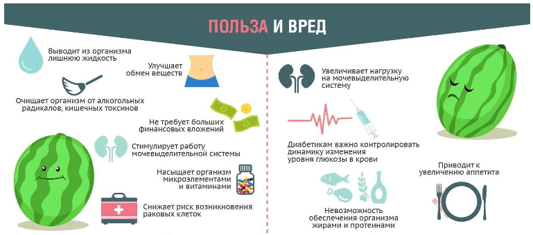 Влияние арбуза на организм человека.