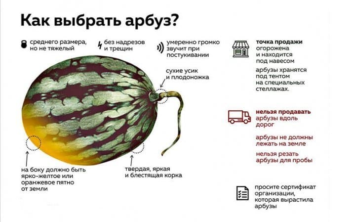 Правила выбора качественного арбуза.