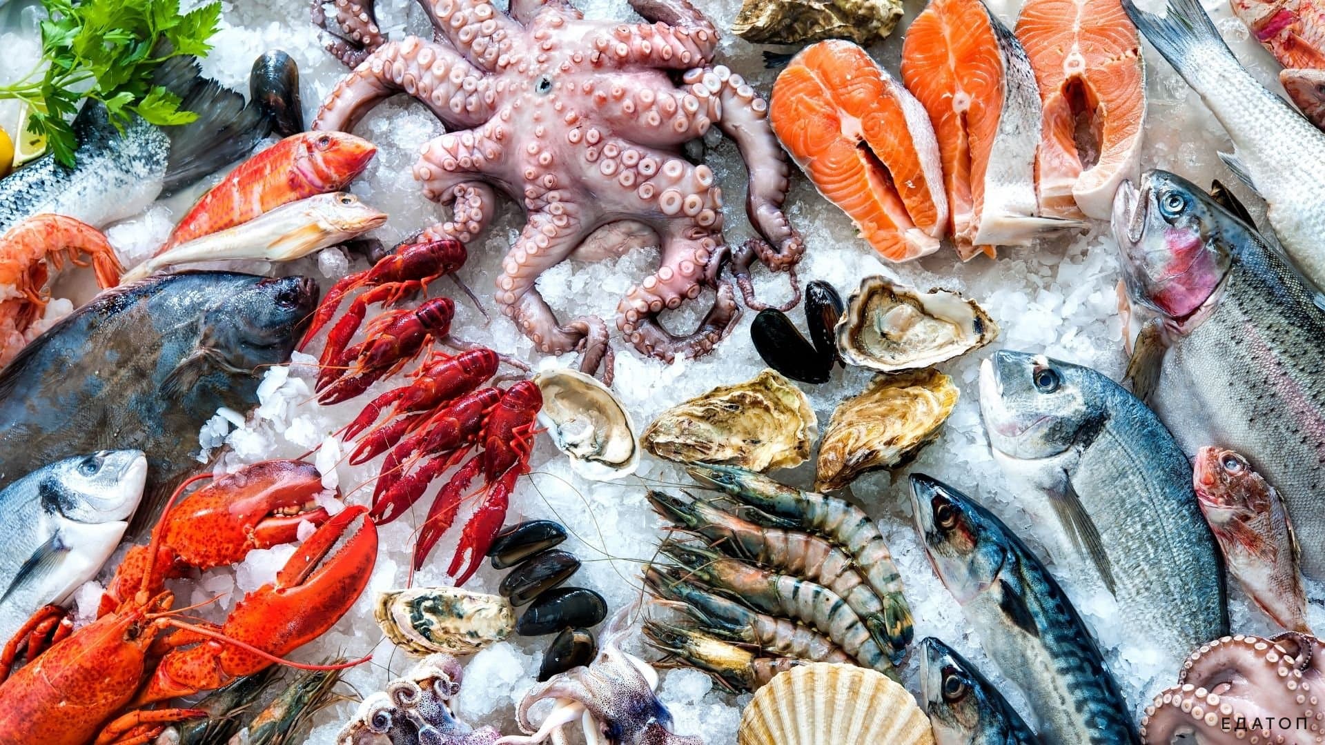 Белок из морепродуктов.