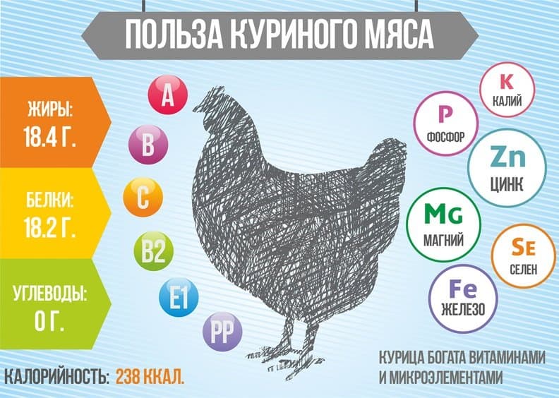 Мясо птицы содержит рекордное количество полезных веществ.