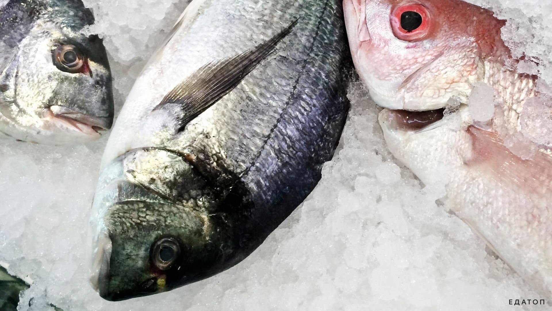 Свежий продукт пахнет тиной и морем.