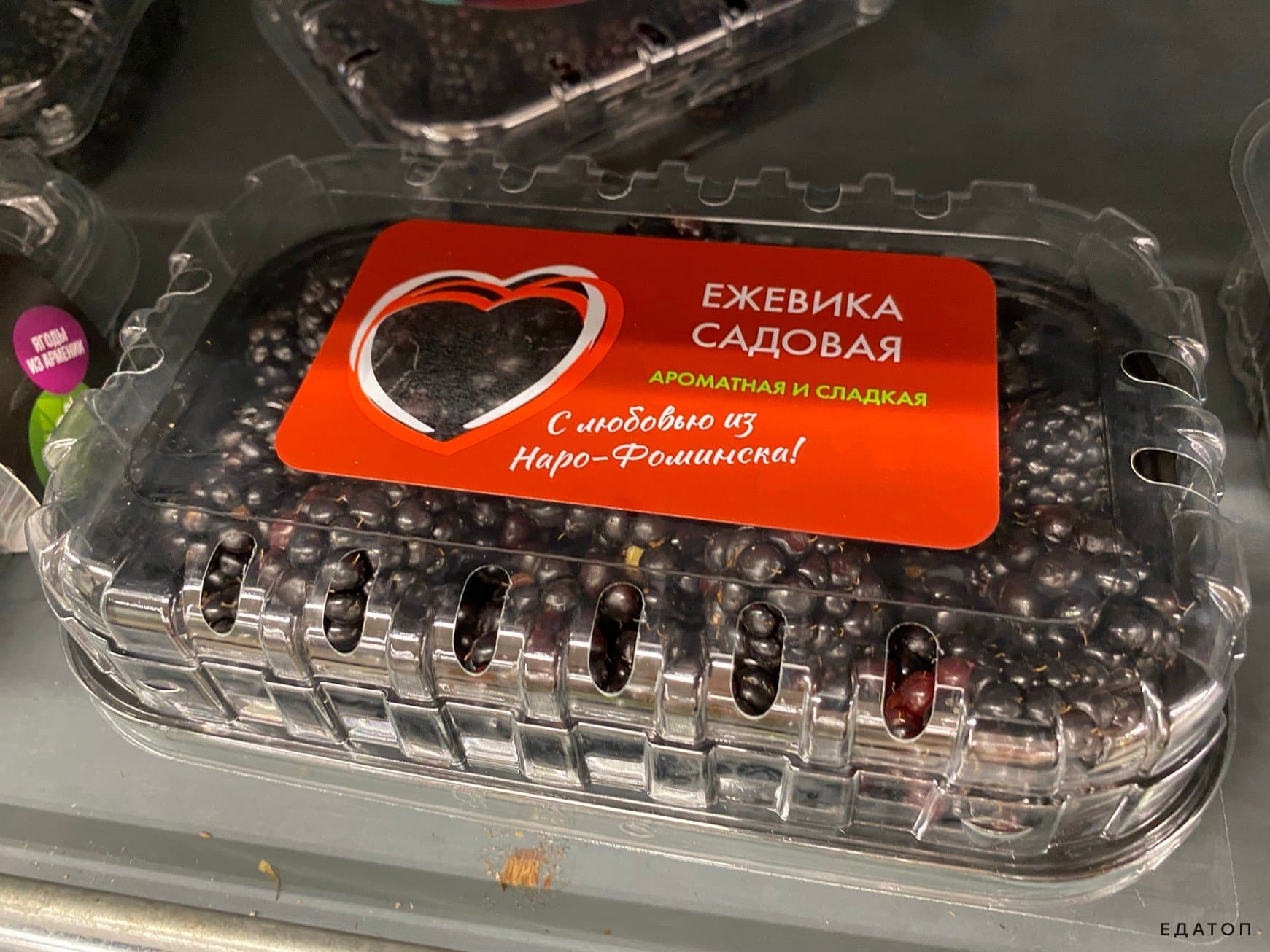 Ежевика богата полезными витаминами.