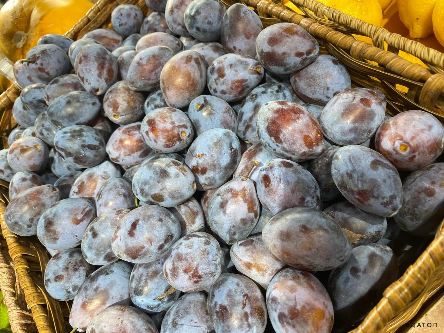Сочная слива для очищения организма.