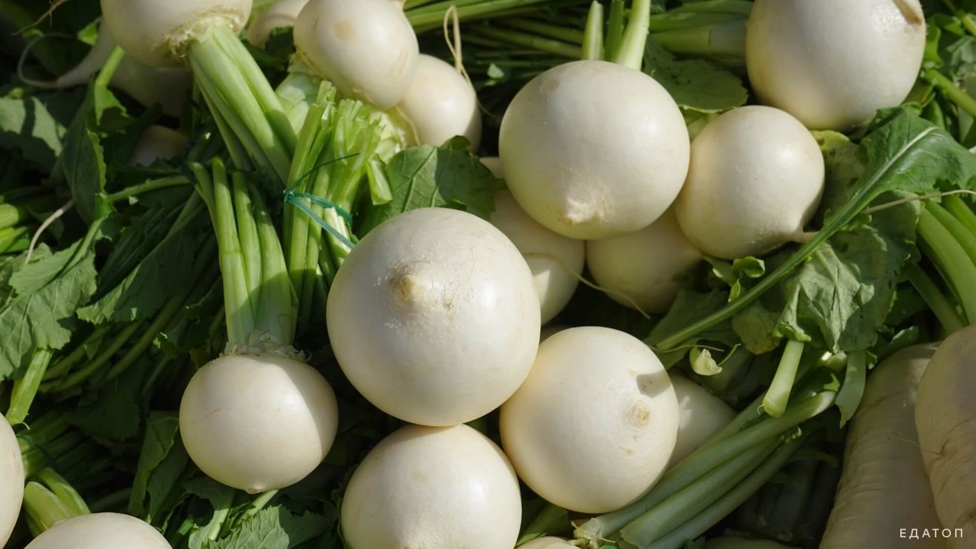 Репа - осенний продукт, содержащий большое количество витаминов.