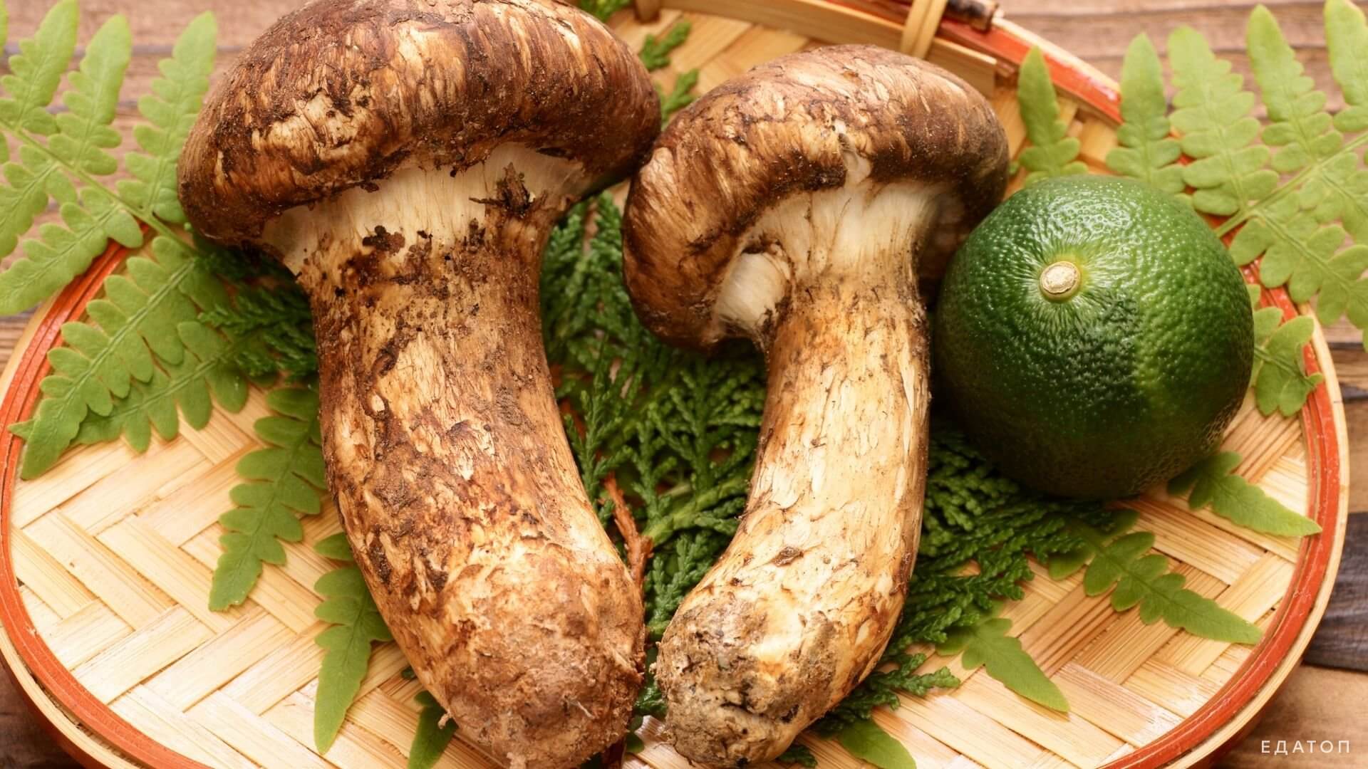 Грибы мацутаке продлевают молодость.