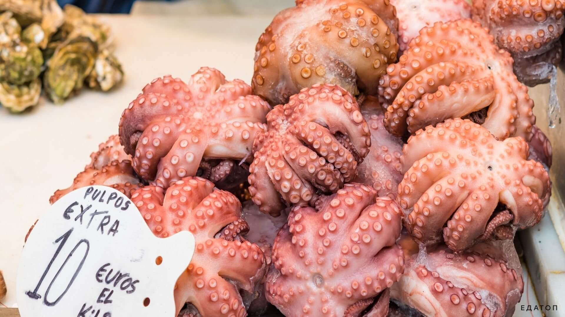 Осьминог - белковый низкокалорийный продукт.