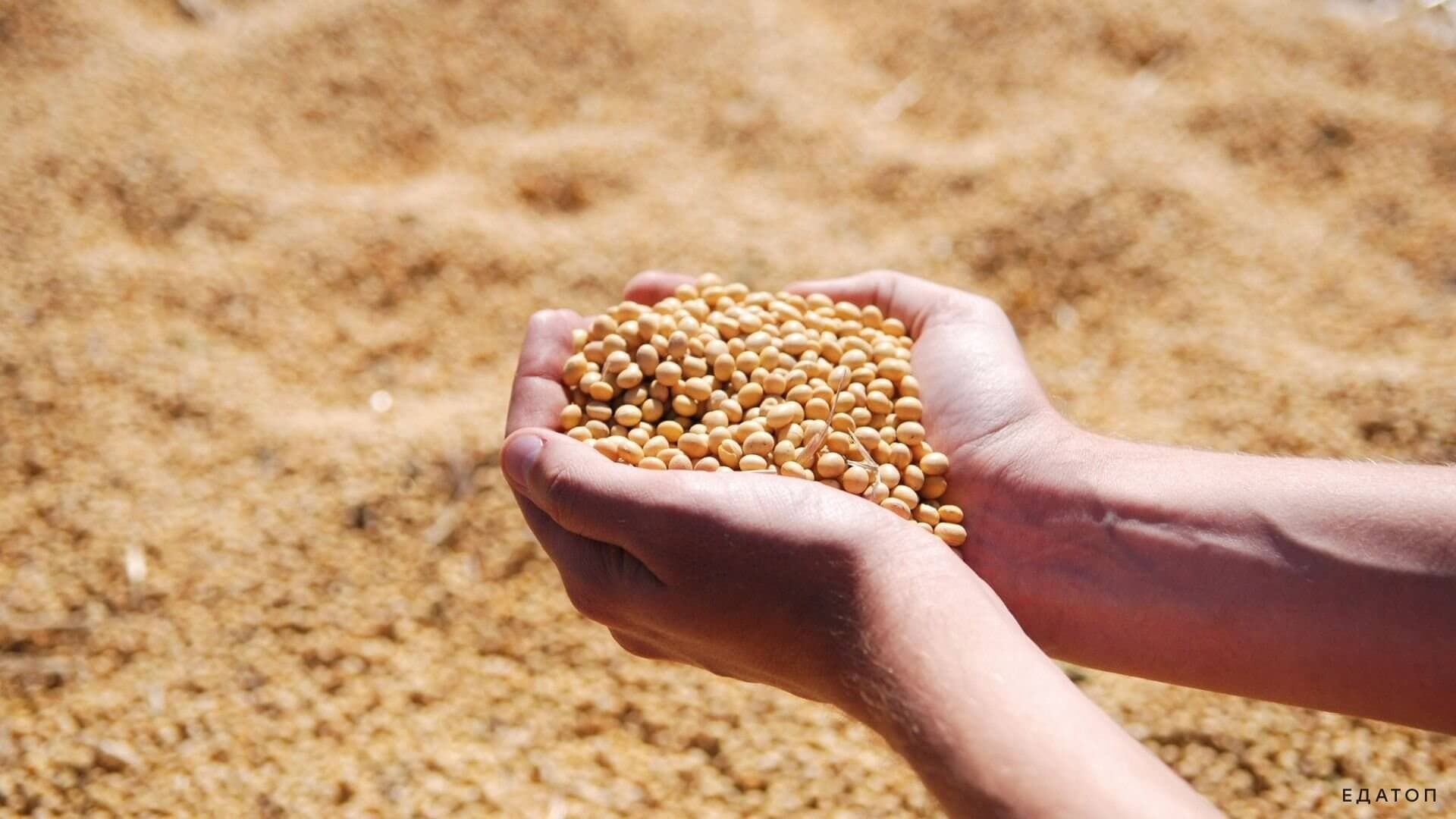 Соя - диетический бобовый продукт.