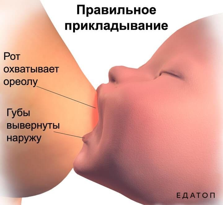 Правильный захват груди.