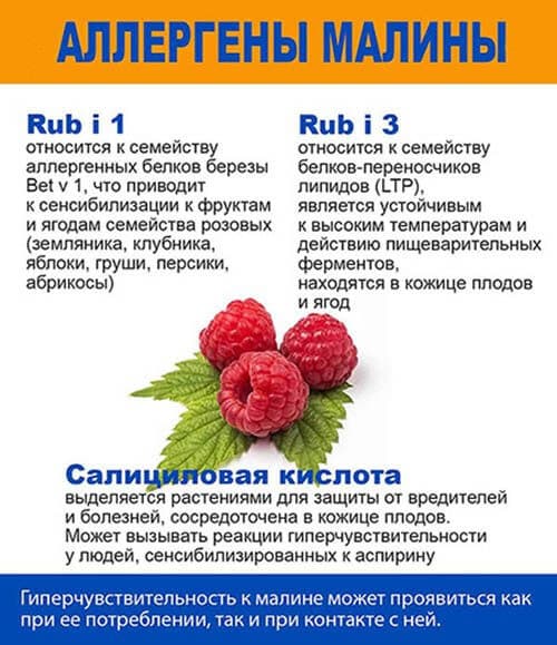 Аллергены в составе малины.