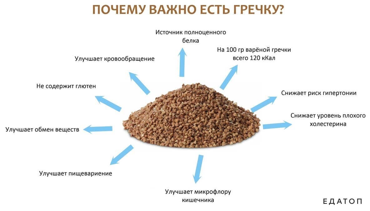 Полезные свойства гречки.