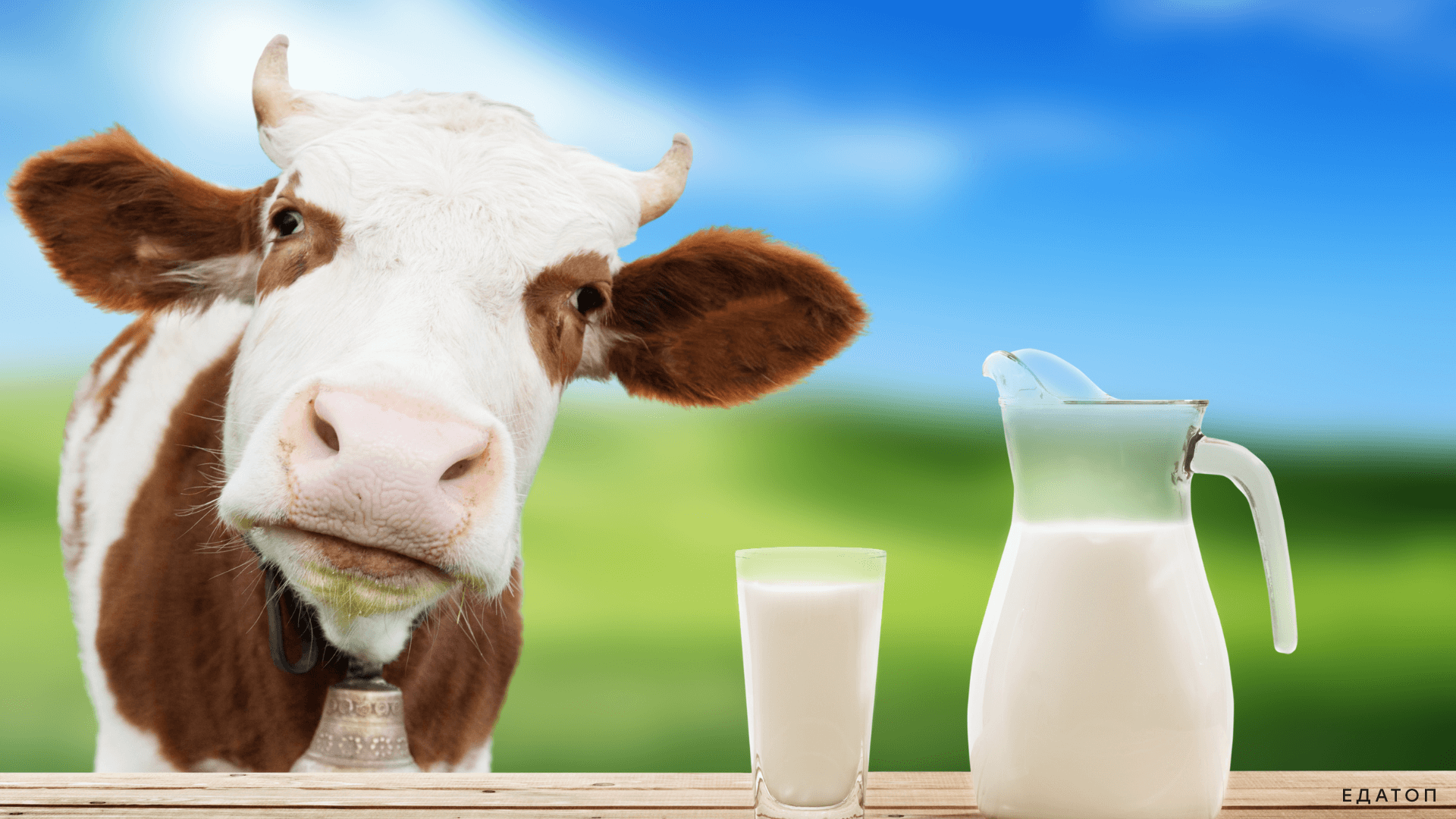 Коровье молоко считается важным продуктом для детей.