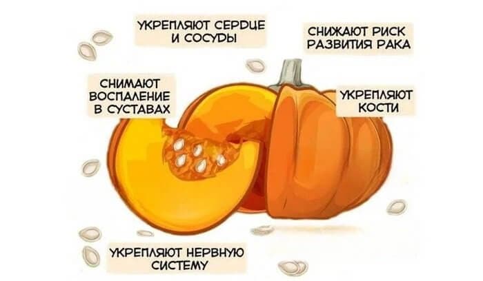 Польза тыквенных семян обусловлена богатым биологическим составом.
