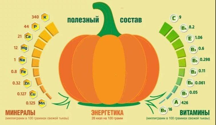 Содержащиеся в овоще полезные вещества.
