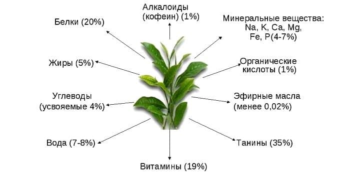Вещества, входящие в состав чая.