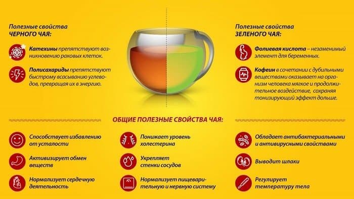 Полезные свойства чайного напитка.