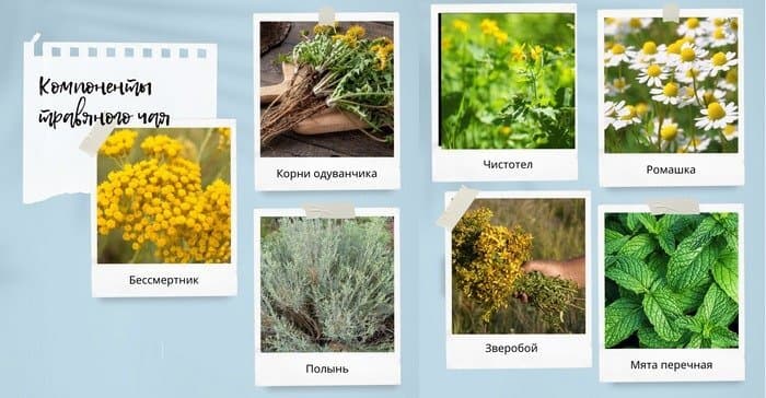 Компоненты, входящие в лечебные сборы.