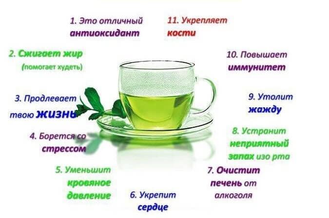 Польза зеленого чая.