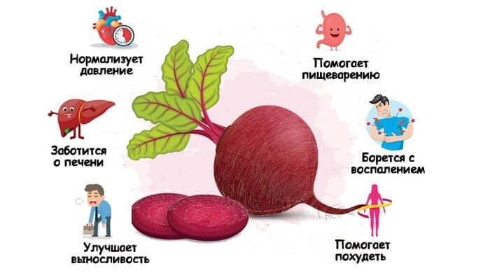 Свекла оказывает положительное влияние на организм человека.
