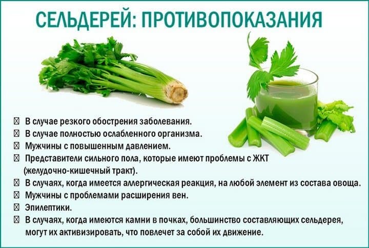 Когда нельзя употреблять сельдерей.