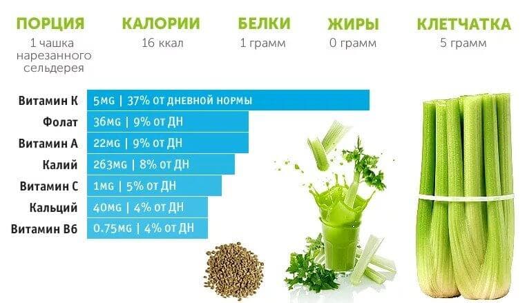 БЖУ и полезный состав сельдерея.