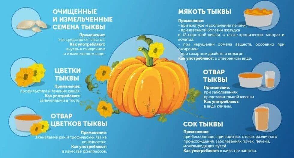 Полезные свойства тыквы.