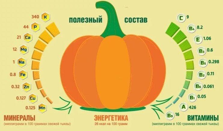 Полезный состав тыквы.