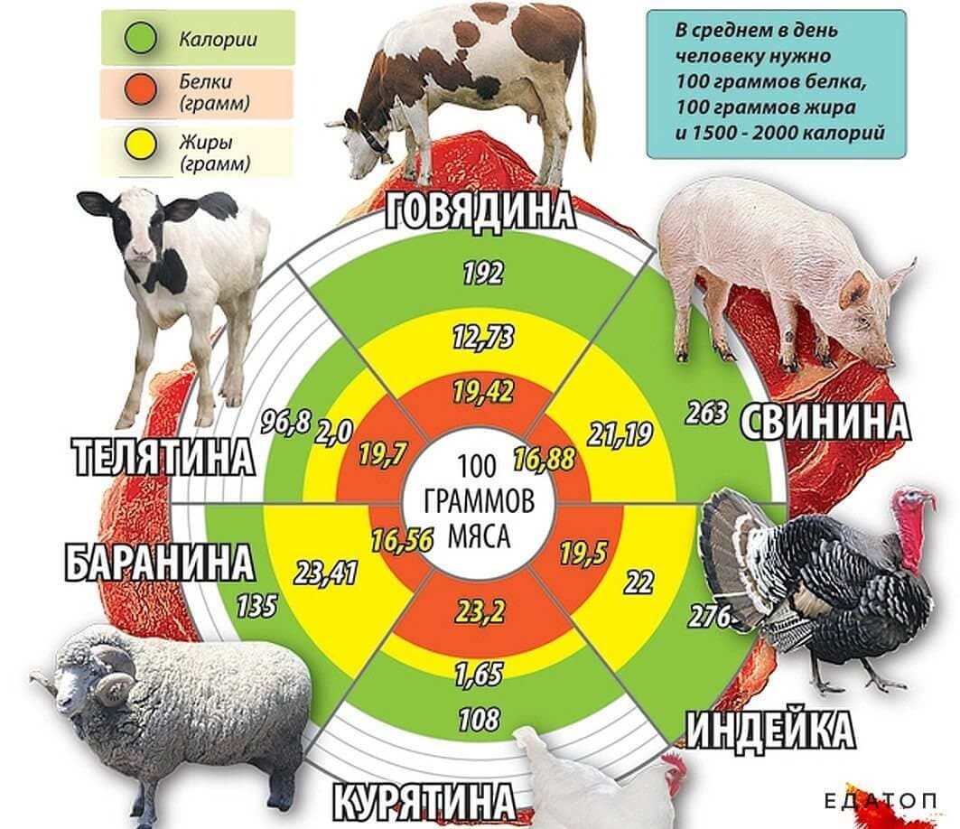 Калорийность и белково-жировой состав разных сортов мяса.