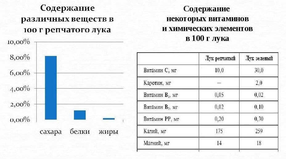 Состав лука.