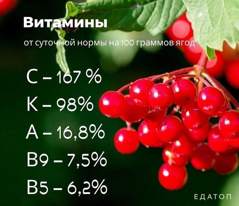 Полезные витамины в калине.