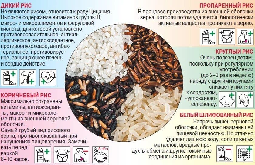 Польза разных видов риса.