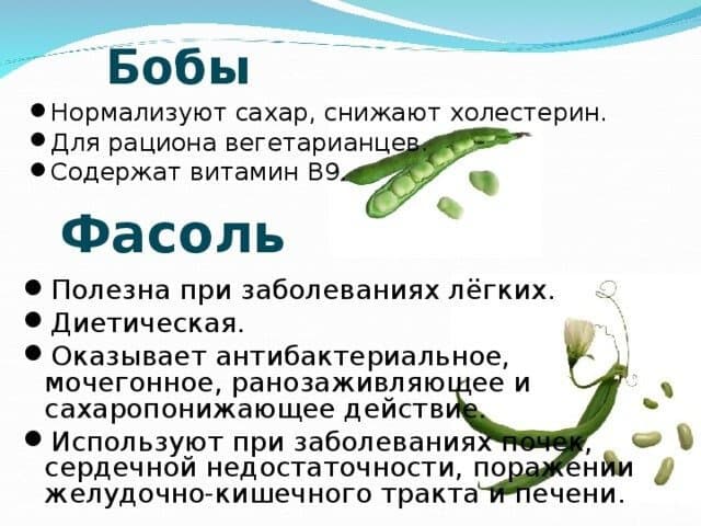 Болезни, при которых можно употреблять фасоль.