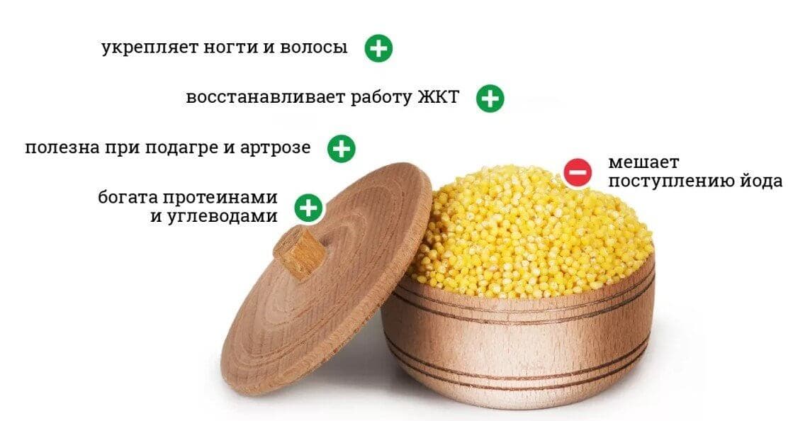 Полезные и вредные для организма свойства пшена.