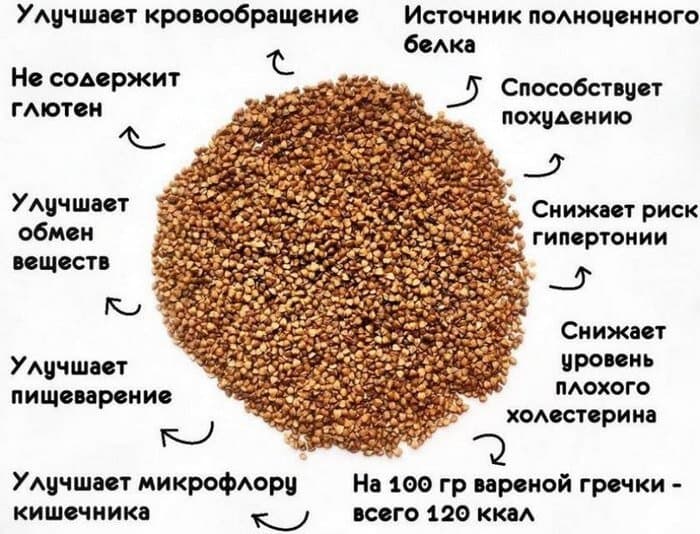 Гречневая крупа обладает полезными для здоровья качествами.