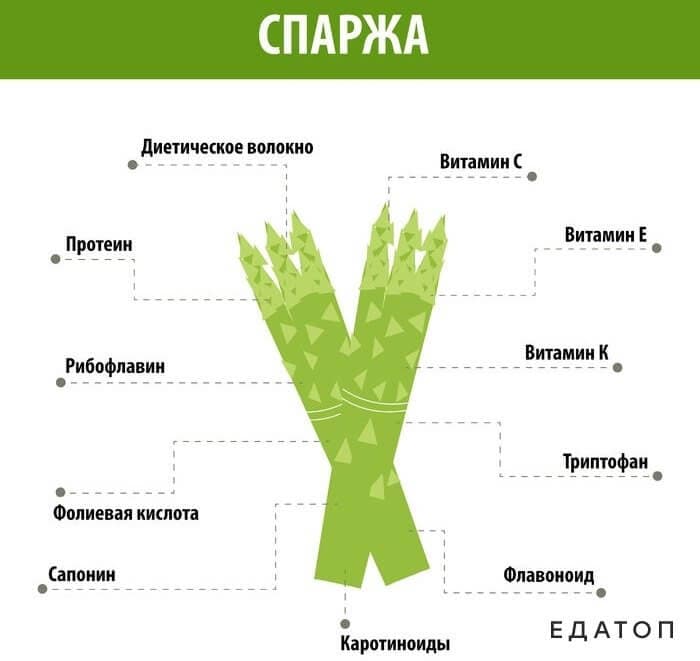 Полезные вещества, входящие в состав спаржи.