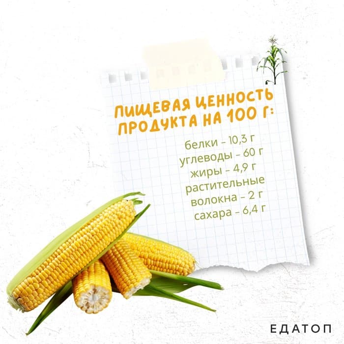 Пищевая ценность кукурузы.